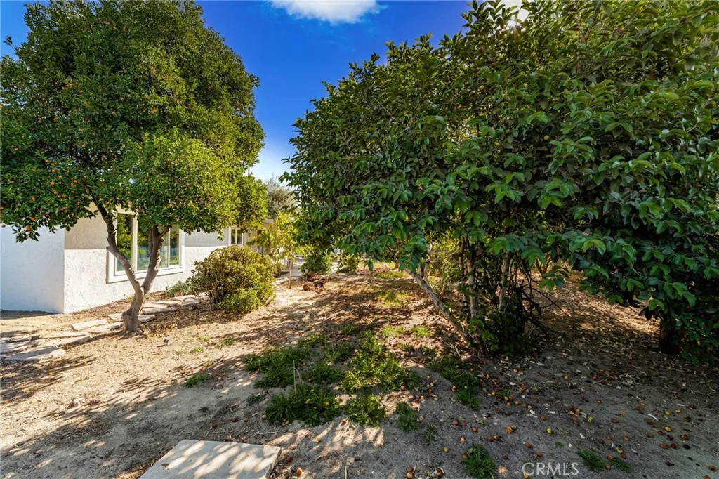 10696 Lilac, Loma Linda, California 92354 home-pic-28